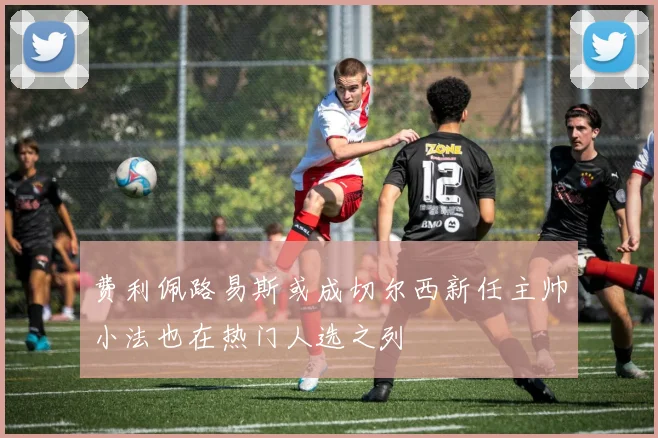 费利佩路易斯或成切尔西新任主帅小法也在热门人选之列